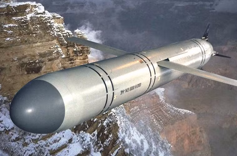 Con tàu được vũ trang rất mạnh mẽ với các hệ thống phóng tên lửa thẳng đứng được bố trí ở trước thượng tầng. Để chống tàu mặt nước, tàu hộ vệ Đô đốc Grigorovich trang bị 8 tên lửa hành trình siêu âm 3M-54TE Klub-N đạt tầm bắn hơn 200km, tốc độ siêu âm Mach 2,9m.