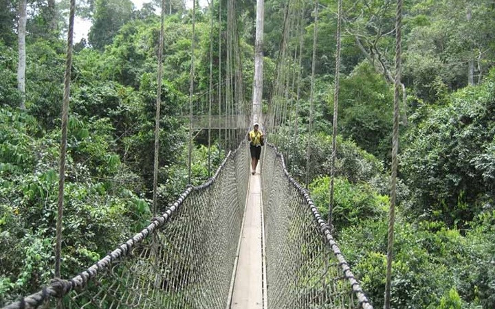  Cầu treo đi bộ Canopy, Ghana - Bạn sẽ được trải nghiệm đi dạo trên không trung giữa rừng nhiệt đới. Cây cầu Canopy có độ cao trên 12m và dài hơn 300m.
