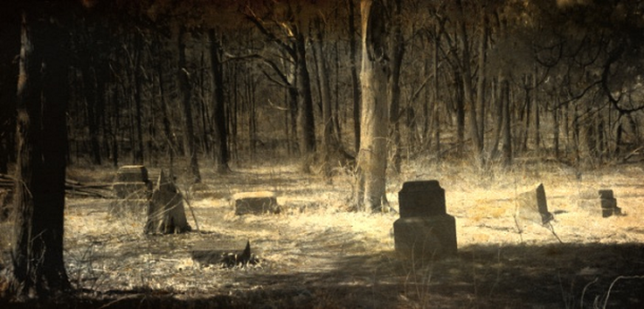 Được biết tới là một trong những địa điểm ma ám rùng rợn nhất nước Mỹ, nghĩa trang Bachelor’s Grove mở cửa năm 1844 với nhiều vụ biến mất bí ẩn nếu người nào đó hoặc con vật nào đó không may lạc vào.