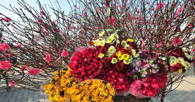 Y nghia bat ngo 9 loai hoa choi Tet duoi ta khi, hut tai loc