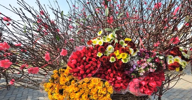 Đối với việc lựa chọn hoa chơi Tết thì việc lựa chọn hoa nở phải đúng dịp Tết, hoa đẹp, hoa sai, màu sắc rực rỡ. Đặc biệt, người chơi hoa cũng dần quan tâm nhiều hơn tới yếu tố phong thủy của hoa, với mong muốn có một năm mới thuận lợi, nhiều may mắn, hạnh phúc, sức khỏe, tài lộc và xua đuổi những vận khí xấu xung quanh. Cùng điểm mặt ý nghĩa của 9 loại hoa mang lại nhiều may mắn, tài lộc cho gia chủ dịp đầu năm mới.