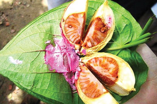 6. Trầu cau. Trầu cau là thực phẩm gây ung thư nhưng nhiều người không biết. Có 3 lý do khiến trầu cau trở thành mối nguy gây ung thư đáng chú ý. Thứ nhất, arecoline trong trầu có thể gây ung thư. Thứ hai, các sợi trong miếng trầu rất thô. Thứ ba, vôi phết trong miếng trầu gây kích ứng niêm mạc mạnh.