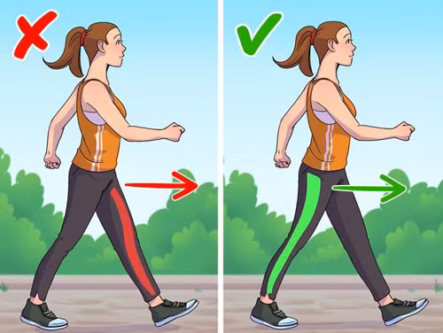 Cách tốt nhất là nên để chân hướng thẳng về phía trước. Khi bước, hãy đẩy ngón chân cái ra để kích hoạt cơ mông.