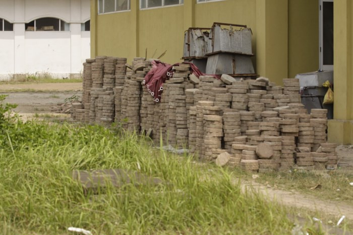 Cỏ dại mọc tràn lên trên kiến trúc