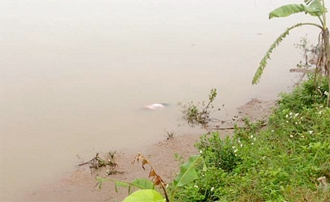 Khu vực nơi phát hiện thi thể nữ sinh xấu số.