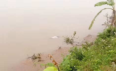 Khu vực nơi phát hiện thi thể nữ sinh xấu số.