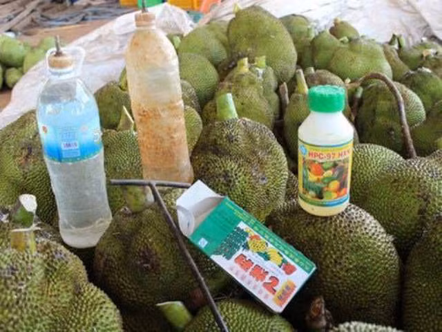 Sản phẩm nhúng chín mít HPC -97 HXN bị cấm sử dụng trong bảo quản, chế biến nông sản, thực phẩm.