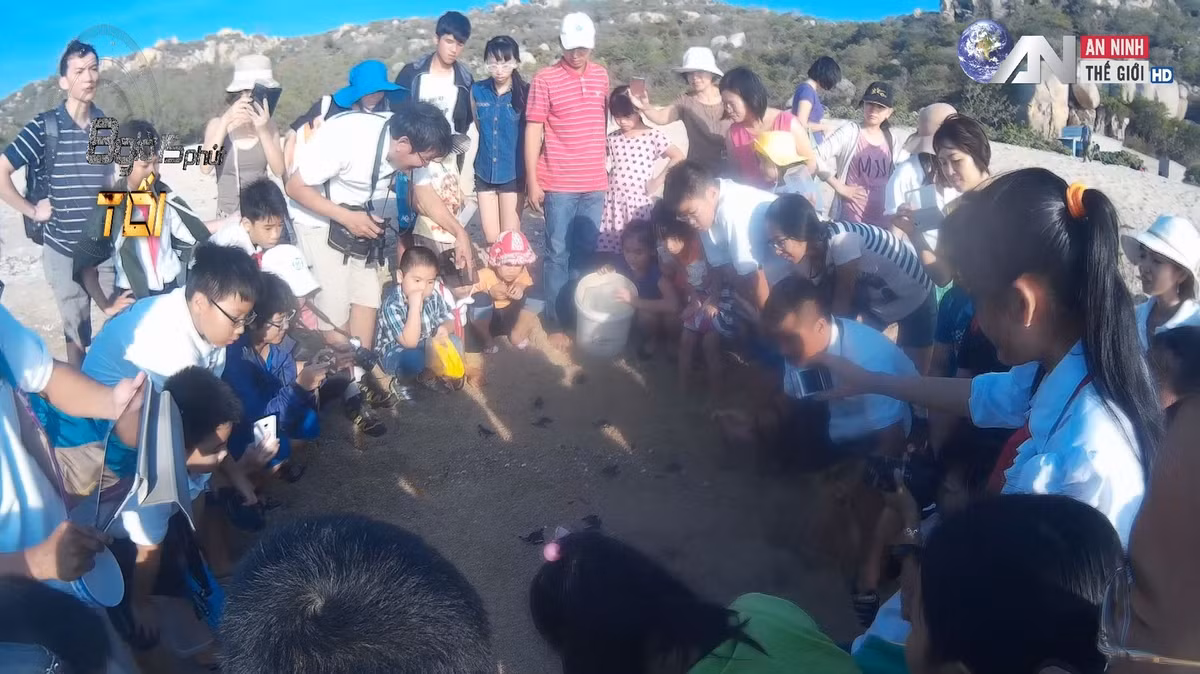 Các em nhỏ có cơ hội được tiếp cận trực tiếp với rùa biển trong các giờ học thực hành.