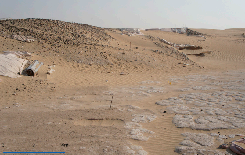 Kết quả cho thấy nơi đây từng là một trung tâm văn hóa lớn với dân cư đông đúc và hệ thống giao thông phát triển. (Ảnh: thebrighterside)