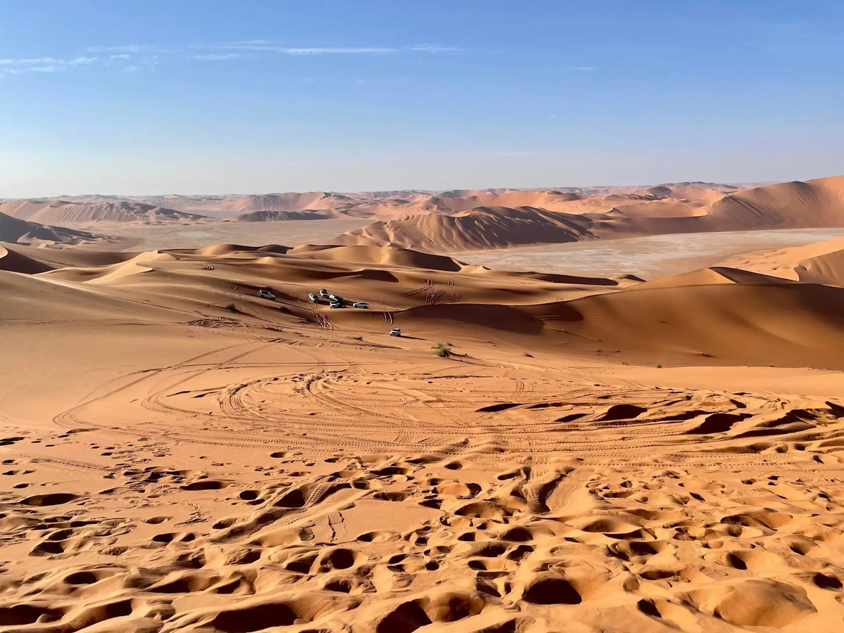 Thuật toán máy học phân tích dữ liệu SAR để xác định dấu vết của các khu định cư, đường xá và công trình nhân tạo. (Ảnh:thebrighterside)