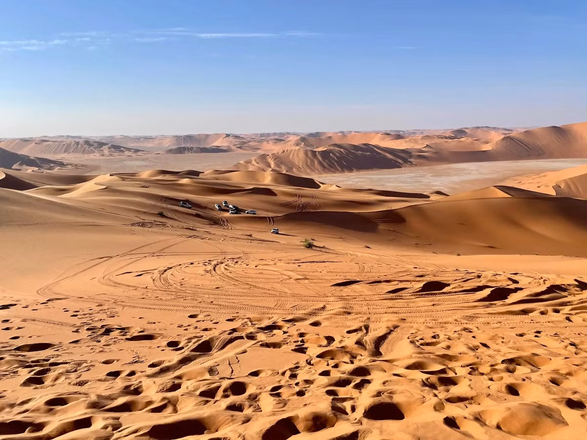 Thuật toán máy học phân tích dữ liệu SAR để xác định dấu vết của các khu định cư, đường xá và công trình nhân tạo. (Ảnh:thebrighterside)