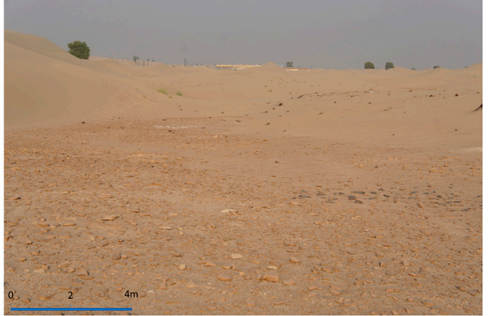 Cuộc nghiên cứu tập trung vào sa mạc Rub' al Khali, một trong những hoang mạc lớn và khắc nghiệt nhất thế giới. (Ảnh:thebrighterside)