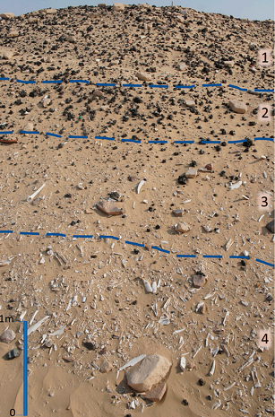 Phát hiện này bác bỏ quan niệm rằng bán đảo Ả Rập ít có hoạt động định cư trong thời kỳ Đồ Đồng. (Ảnh: thebrighterside)