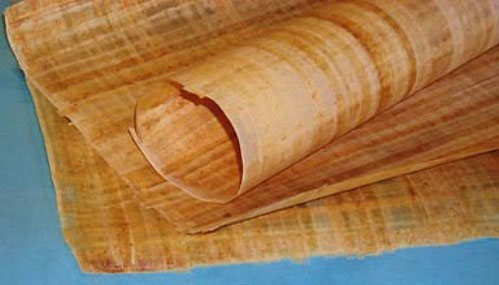 3. Giấy papyrus: Làm từ cây cói papyrus, loại giấy này bền, linh hoạt và được sử dụng để viết, dệt buồm và nhiều mục đích khác. (Ảnh: khoahoc.tv)