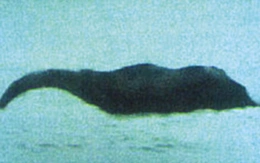 Cho đến nay, không có bằng chứng hay hình ảnh xác thực nào chứng minh sự tồn tại của "quái vật" này.(Ảnh: Gia đình)