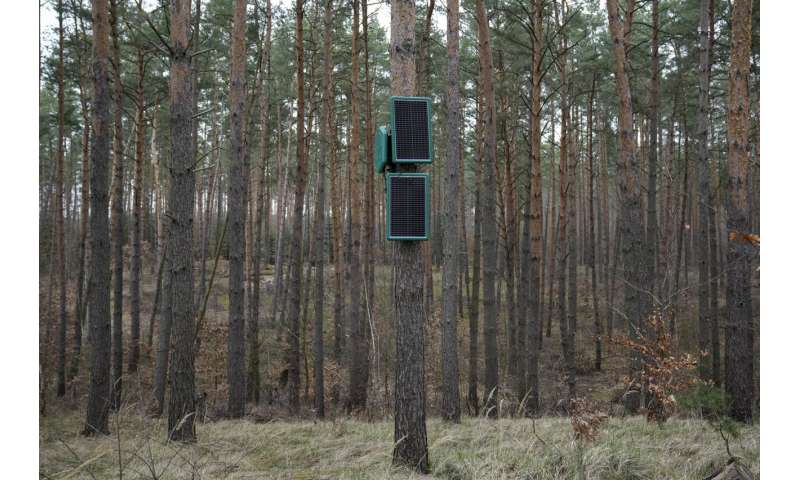 UAV này hoạt động kết hợp với hệ thống cảm biến Silvanet, giúp nhận diện dấu hiệu cháy ngay từ giai đoạn đầu. (Ảnh: techxplore)