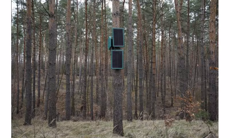 UAV này hoạt động kết hợp với hệ thống cảm biến Silvanet, giúp nhận diện dấu hiệu cháy ngay từ giai đoạn đầu. (Ảnh: techxplore)