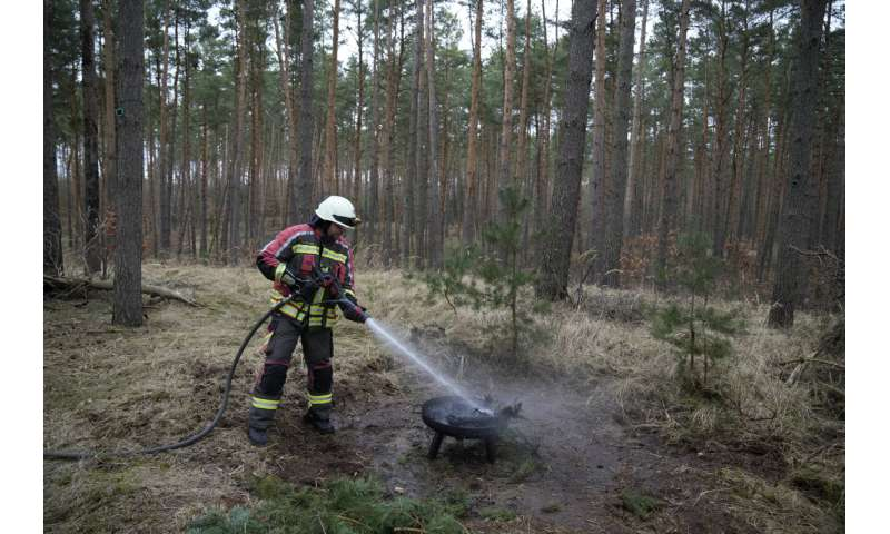 Khi cảm biến phát hiện nguy cơ cháy, Silvaguard sẽ tự động bay đến khu vực đó để ghi lại hình ảnh hồng ngoại và dữ liệu chi tiết. (Ảnh: techxplore)