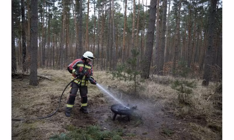 Khi cảm biến phát hiện nguy cơ cháy, Silvaguard sẽ tự động bay đến khu vực đó để ghi lại hình ảnh hồng ngoại và dữ liệu chi tiết. (Ảnh: techxplore)