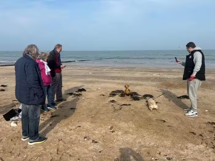 Các giả thuyết xung quanh sinh vật bao gồm sinh vật ngoài hành tinh, mảnh vỡ tàu cổ, hay một tác phẩm nghệ thuật điêu khắc. (Ảnh: kentonline)