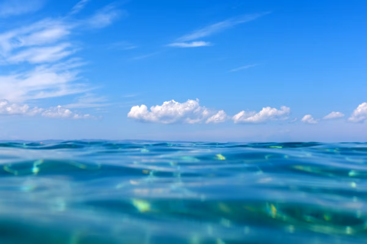 Các quốc gia đang chạy đua phát triển công nghệ khai thác bền vững, ai làm chủ công nghệ này sẽ chiếm ưu thế chiến lược trong tương lai. (Ảnh: Ocean Panel)