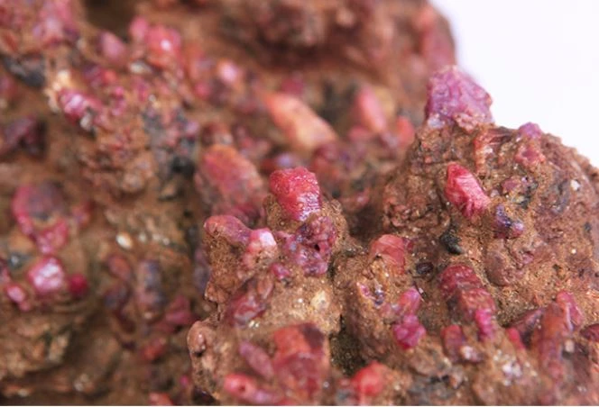 Một người nông dân tên Tiểu Dương ở Dương Sóc, Quảng Tây (Trung Quốc) tình cờ nhặt được một viên đá đỏ tuyệt đẹp trong lúc đi dạo trên bãi biển. (Ảnh: DNVN)