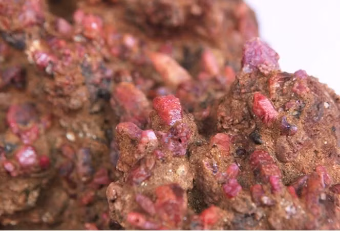 Một người nông dân tên Tiểu Dương ở Dương Sóc, Quảng Tây (Trung Quốc) tình cờ nhặt được một viên đá đỏ tuyệt đẹp trong lúc đi dạo trên bãi biển. (Ảnh: DNVN)