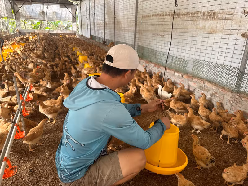 Bóc mẽ thủ đoạn thao túng tâm lý... nạn nhân “tự nguyện” chuyển sạch tiền - Hình 2 Boc me thu doan thao tung tam ly... nan nhan “tu nguyen” chuyen sach tien-Hinh-2