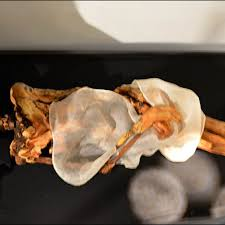 Cô gái này sống vào thế kỷ thứ 5 sau Công nguyên, được cho là người có địa vị cao trong xã hội Pazyryk, thể hiện qua nghi thức chôn cất và các hiện vật được tìm thấy.(Ảnh: IBTimes UK)