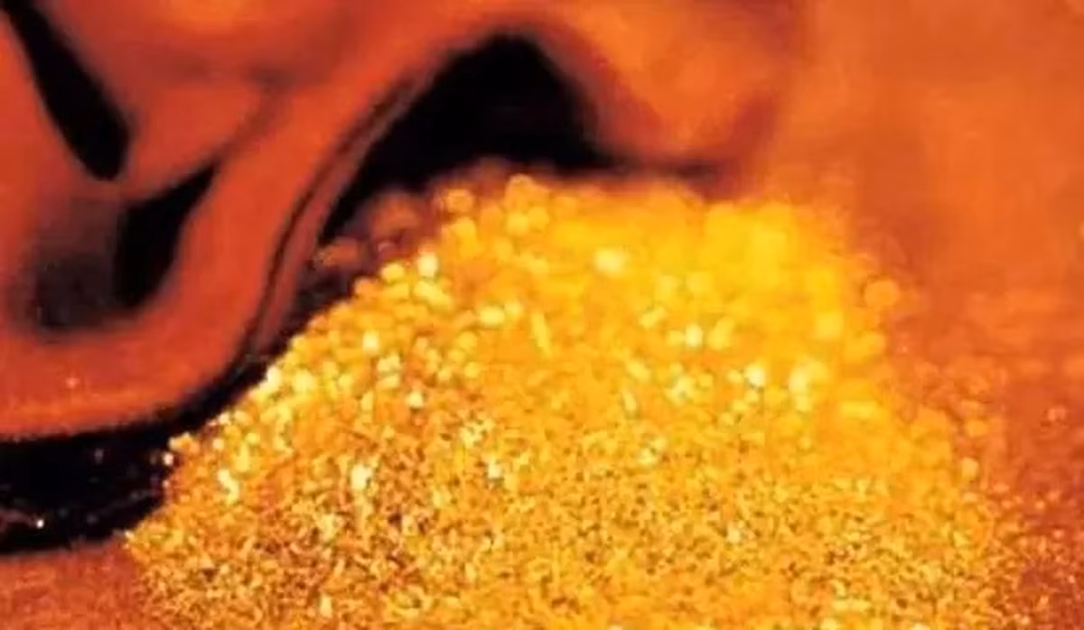 Vào thời điểm phát hiện, đây là "kho báu" đơn lẻ lớn nhất trên thế giới, chứa không chỉ vàng mà còn cả bạc, với hàm lượng vàng đạt khoảng 216,7g mỗi tấn. Các chuyên gia ước tính giá trị của tảng vàng này lên đến 12 tỷ NDT (tương đương 42 nghìn tỷ đồng). (Ảnh: Thương hiệu và công luận).