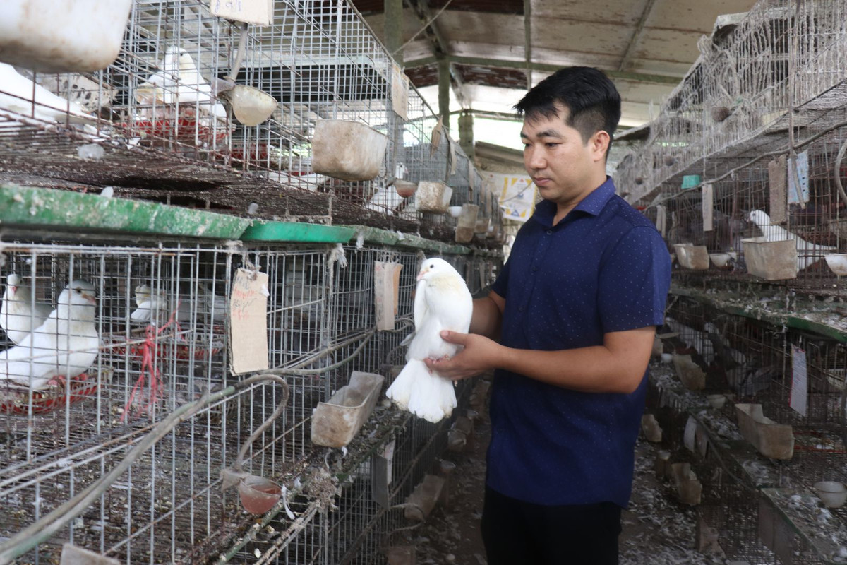 Nong dan Bac Giang lai 40 trieu dong/thang nho nuoi con sieu de