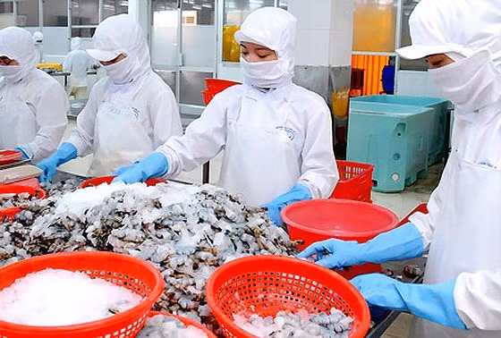 Từ ngày 1/1/2018, lương tối thiểu vùng của người lao động làm việc trong các doanh nghiệp sẽ tăng thêm 180.000-230.000 đồng/tháng. Ảnh: CAO THĂNG