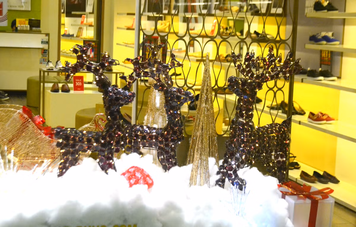 ... Những chú tuần lộc nhiều màu lạ mắt.