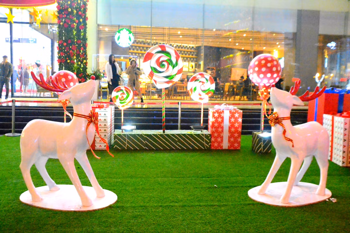 Những chú tuần lộc trắng muốt...