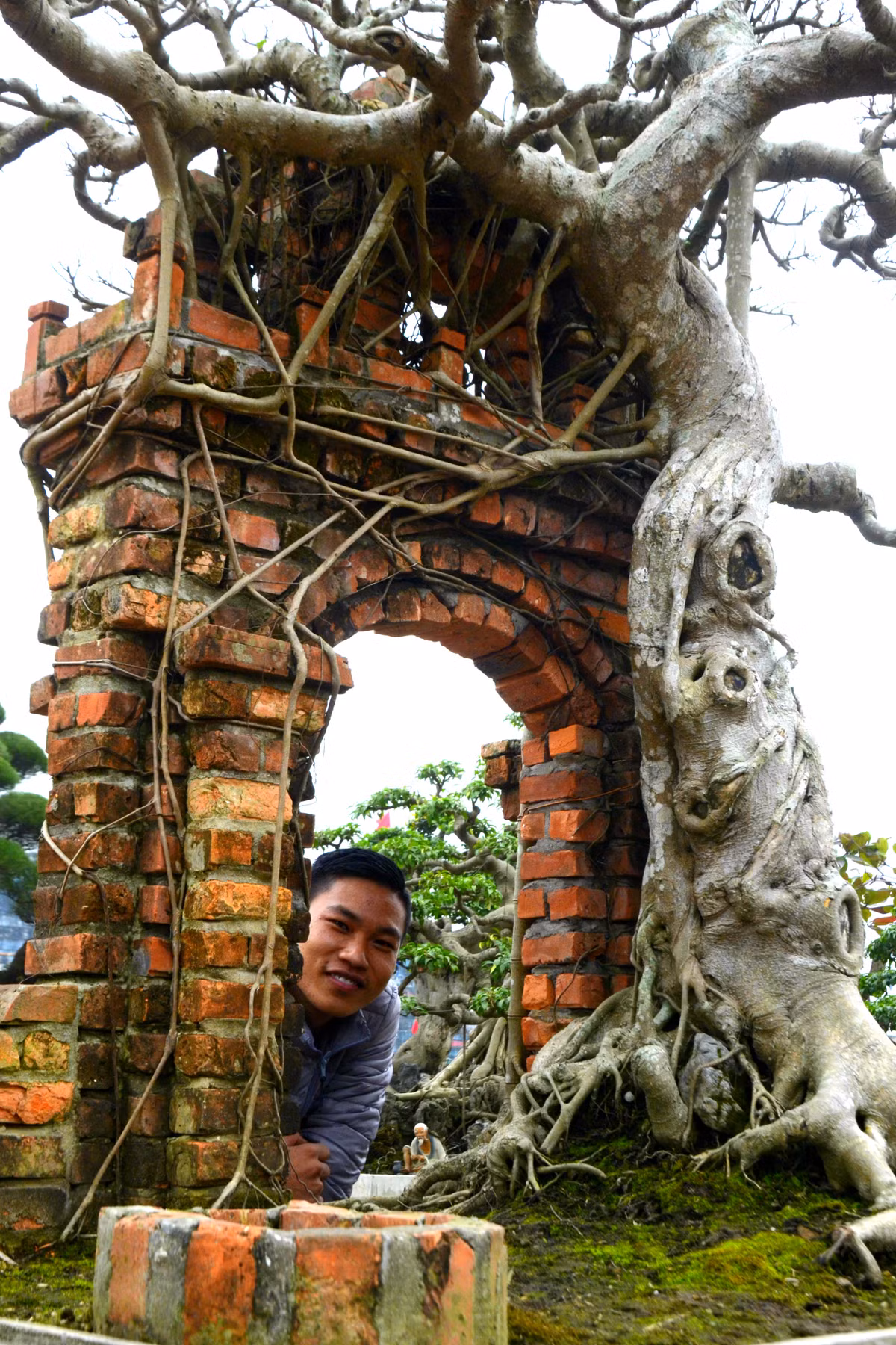 Cây sanh to bao trùm hết một góc cổng làng quê yên ả, bên cạnh lại là giếng nước hiền hòa, thơ mộng tạo nét đẹp tao nhã của hình ảnh làng quê cũ với “cây đa, giếng nước, sân đình”.