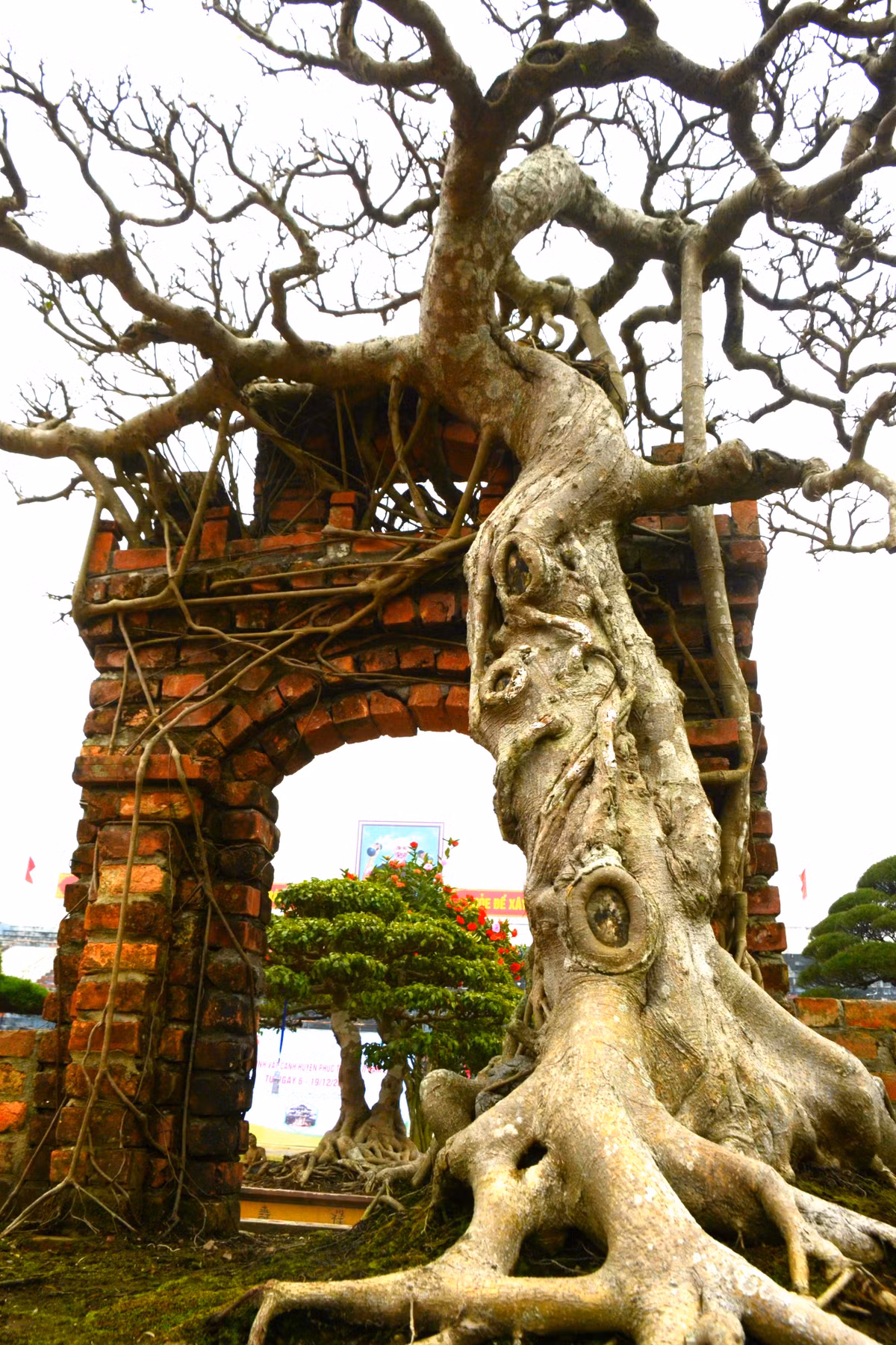 Tác phẩm này được ông Hòa phối cảnh cây xanh ôm trọn cổng làng, cùng với giếng nước tạo thành một bức tranh tuyệt mỹ mang đậm hồn quê Việt Nam...