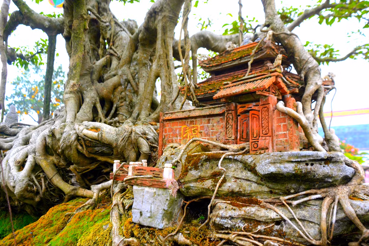Màu gạch đỏ au, mái ngói rêu phong của ngôi đình và tháp rùa gợi nhớ cảnh cây đa, mái đình của làng quê xưa.