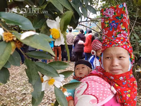 Hàng ngàn du khách, khách tham quan đổ về đây để được tận mắt chiêm ngưỡng vẻ đẹp của những bông hoa sở trắng tinh khiết. Những người dân tộc Dao tại đây cũng dành một ngày để có cơ hội hòa mình vào không gian của lễ hội.