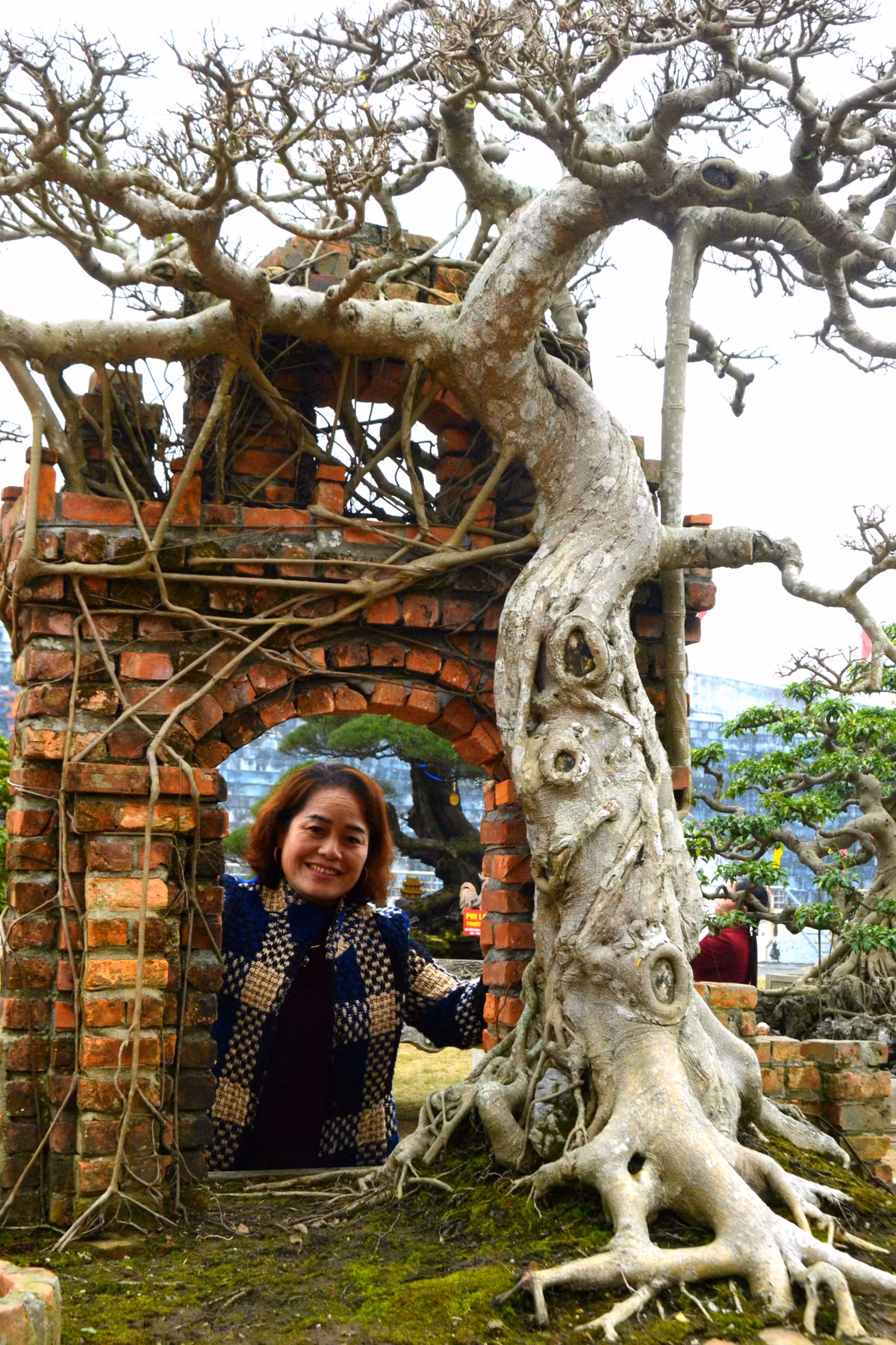 Màu tường rêu, nét hoa văn kiến trúc cổng làng còn mang đến nhiều hoài niệm, nhiều thổn thức với những người xa quê. Video "Ngắm những cây kiểng, non bộ đẹp mắt". Nguồn: Vĩnh Long online