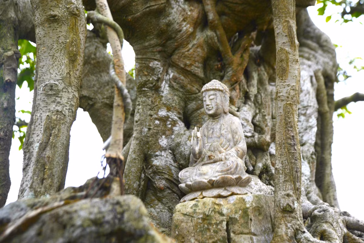 Bởi thế, theo anh Quyền, tác phẩm “Hồn quê” với hình ảnh đặc trưng nông thôn miền Bắc Việt Nam có giá thấp nhất không dưới 2,5 tỷ.