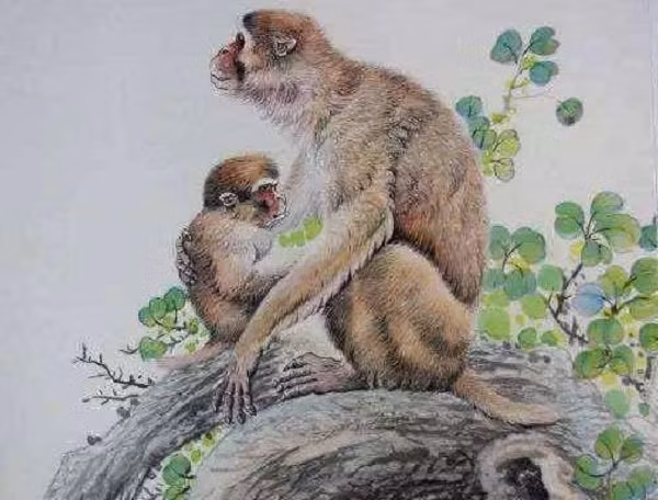 3 con giap den dui va 2 con giap vuong nhat nam 2023-Hinh-2