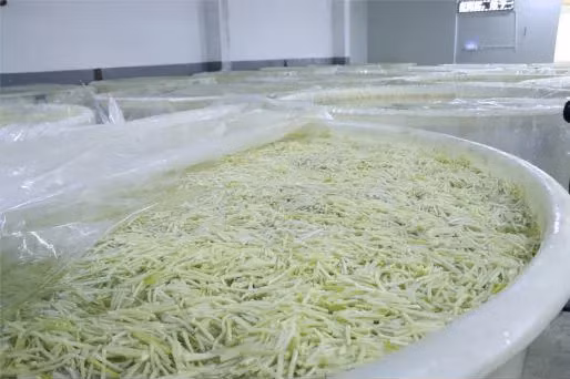 Nghề lạ ít người làm mà nhận lương 1,7 tỷ đồng/năm - Hình 2 Nghe la it nguoi lam ma nhan luong 1,7 ty dong/nam-Hinh-2