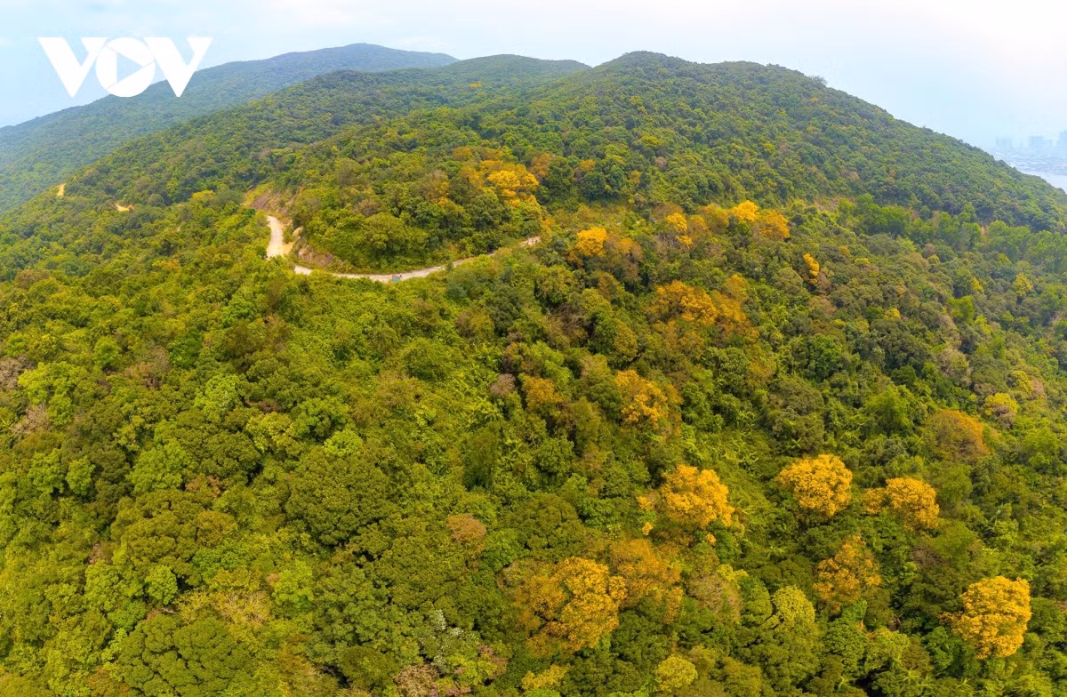 Khi đến ngắm cảnh nơi đây, mọi người không nên vứt xả rác bừa bãi và chỉ lấy về những khoảnh khắc đẹp cho riêng mình.