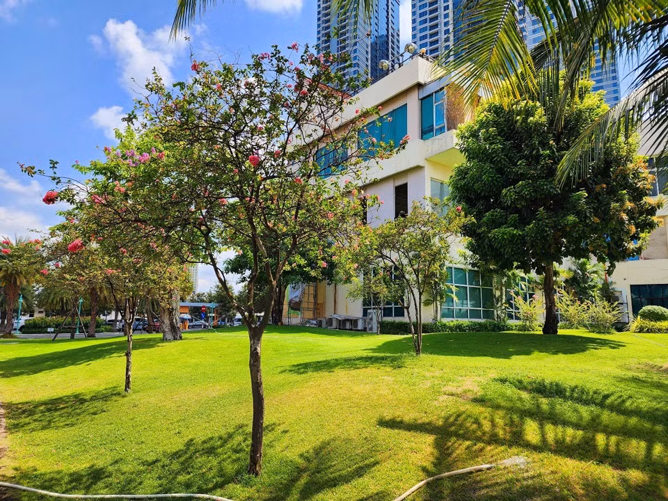 Nhung mang xanh giup TP HCM giai nhiet trong mua nang nong-Hinh-2