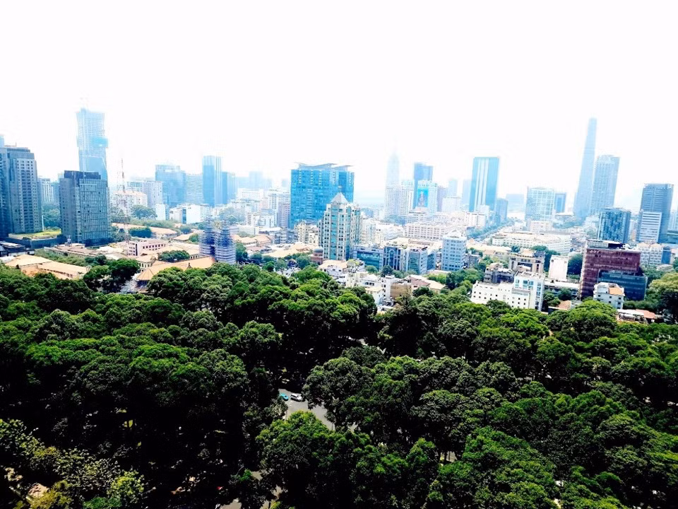 Nhung mang xanh giup TP HCM giai nhiet trong mua nang nong-Hinh-8