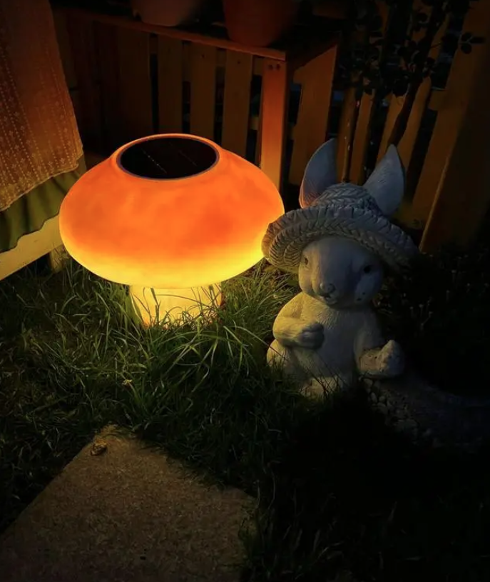 Nói về khu vườn nhỏ, Chen Xin cho biết cô đặc biệt thích cách khu vườn thay đổi từng ngày và dù nó có ra sao, cô ấy vẫn luôn tạo ra những bức ảnh và kỉ niệm thật đẹp ở đó. 