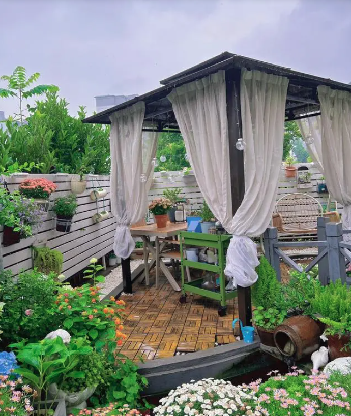 Đó là lý do Chen Xin (Chiết Giang, Trung Quốc) đã quyết định mua 1 mảnh đất rộng 60m2 để trồng hoa tươi, rau sạch. 