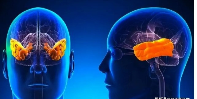 Có vô số câu chuyện tương tự, và nhiều người từng trải qua cận tử cũng có những mô tả tương tự. Những hình ảnh họ nhìn thấy tuy khác nhau nhưng điểm chung của họ là họ đều cảm nhận được một cảm giác bình yên và hy vọng chưa từng có. Các nhà khoa học đã tiến hành nghiên cứu chuyên sâu về vấn đề này, cố gắng tìm ra lời giải thích hợp lý.