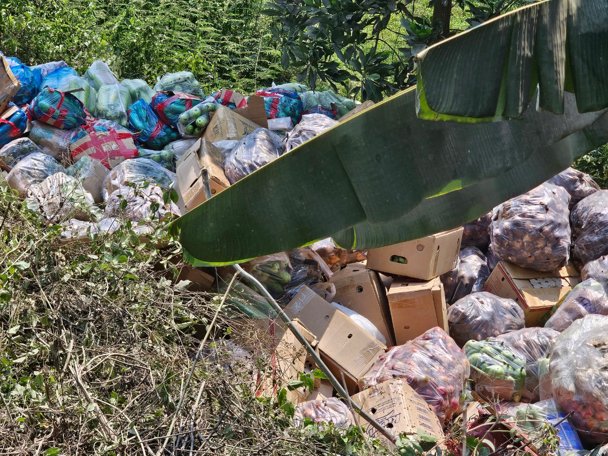 Toàn bộ các thùng hàng nông sản trên thùng xe đổ ào xuống đám cỏ dại ven đường.