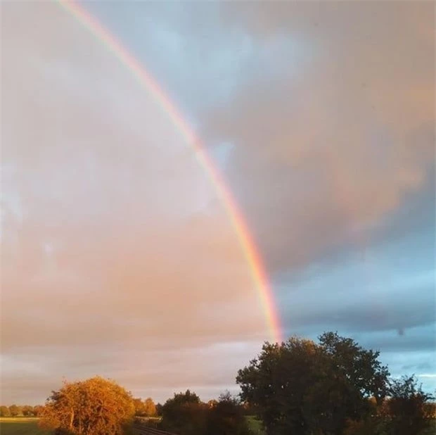 6. Hai nửa thế giới.